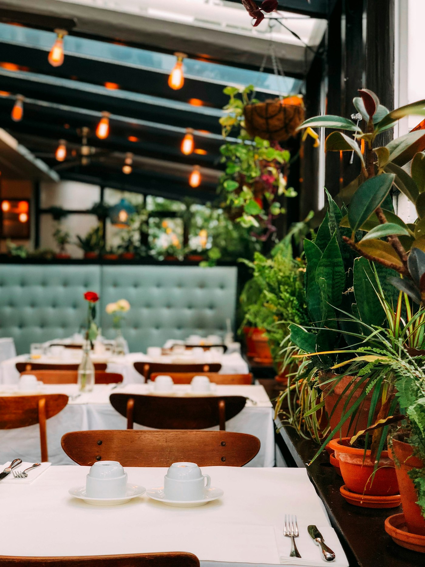 Restaurante com plantas e mesas postas